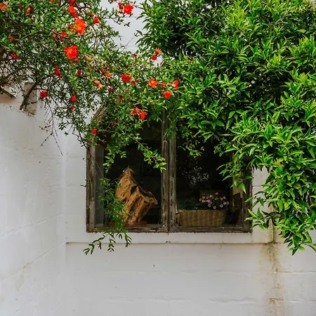 Masseria Della Piana Couette-café Villanova di Ostuni